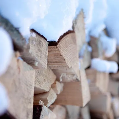 Pinus Frühstückspension