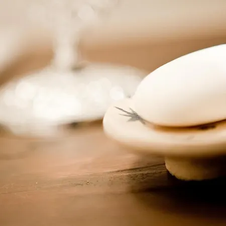 Frühstückspension Pinus *