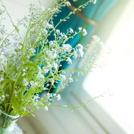 Frühstückspension Pinus