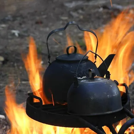Frühstückspension Pinus Mäntyharju