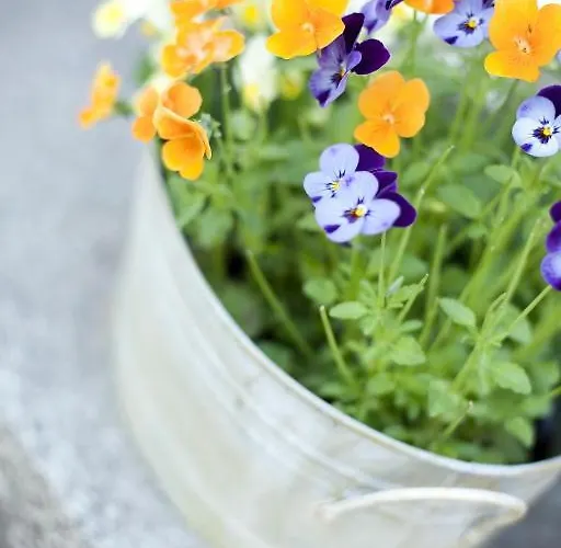 Bed & Breakfast Pinus Mäntyharju