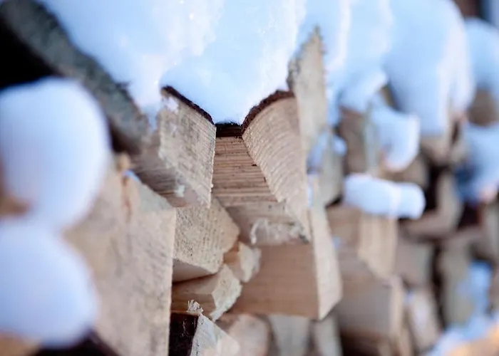 Pinus Bed & Breakfast