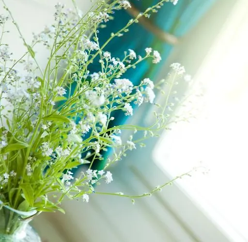 فندق مبيت وإفطار Pinus